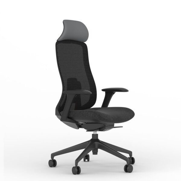 Fedo(Black)