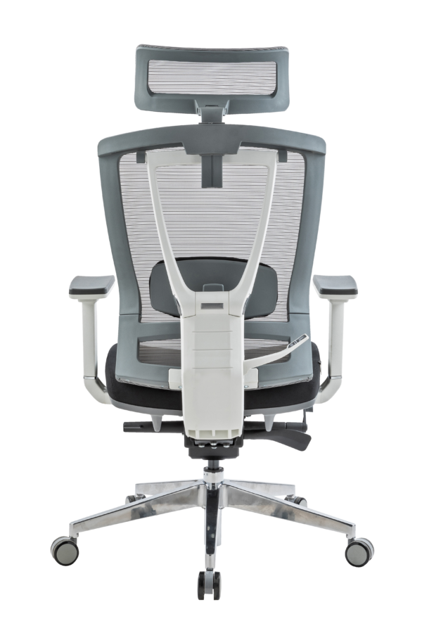 MUXA 4D PNG - Image 3