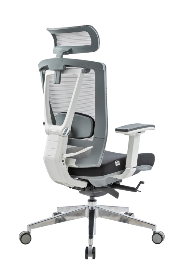 MUXA 4D PNG - Image 2