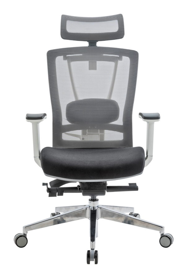 MUXA 4D PNG