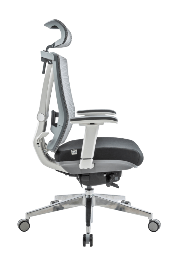 MUXA 4D PNG - Image 6