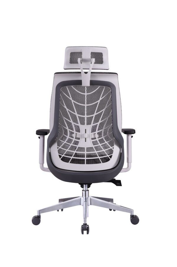 Spider - Image 3