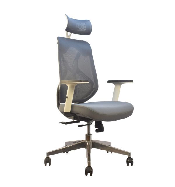 Lucano HB - Image 2