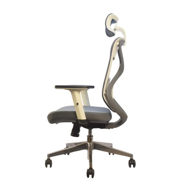 Lucano HB - Image 3